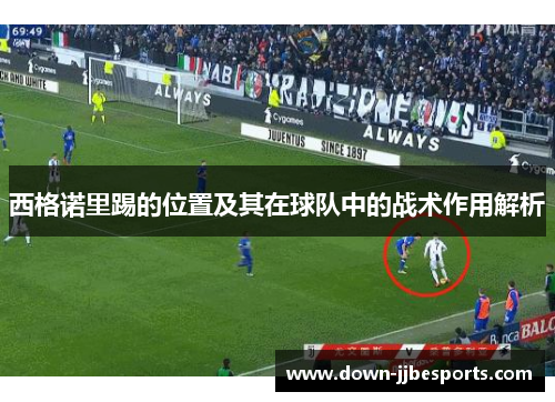 西格诺里踢的位置及其在球队中的战术作用解析
