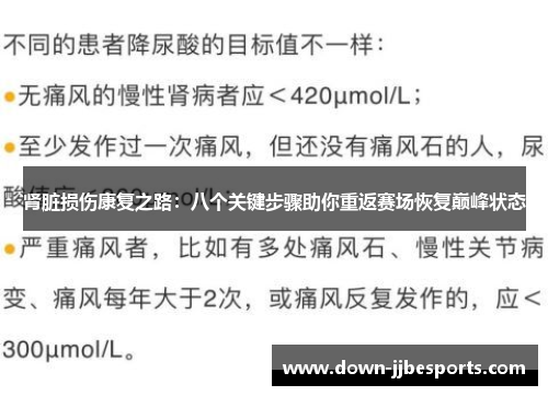 肾脏损伤康复之路：八个关键步骤助你重返赛场恢复巅峰状态